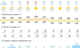 Жаркие выходные: Самарская область готовится к +37°C